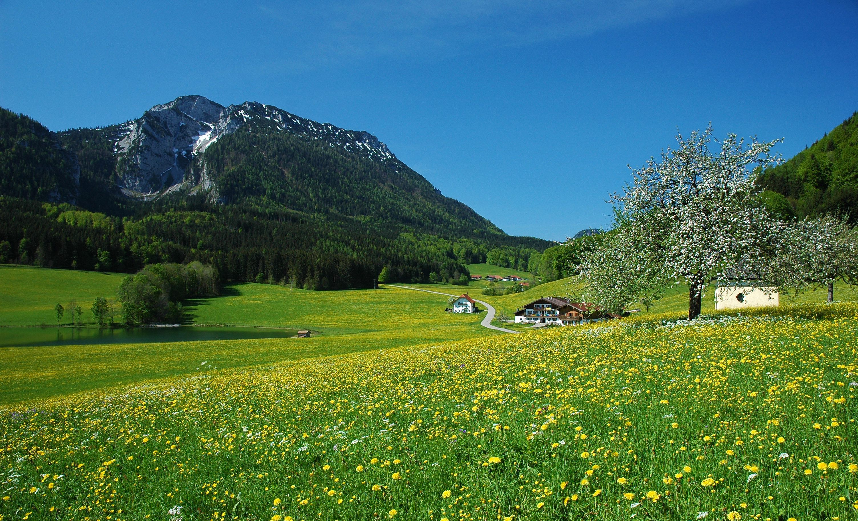 MTB Rauschberg